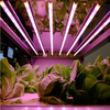 Заводское применение 2835 SMD светодиодная печатная плата в сборе T8 Tube LED Grow Light OEM Разумная цена T8 Led Grow Light Tubes