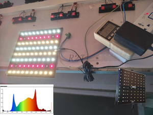 R2T-OEM/ODM LITE Производитель светодиодных светильников постоянного тока 24 В/25 Вт для выращивания водорослей